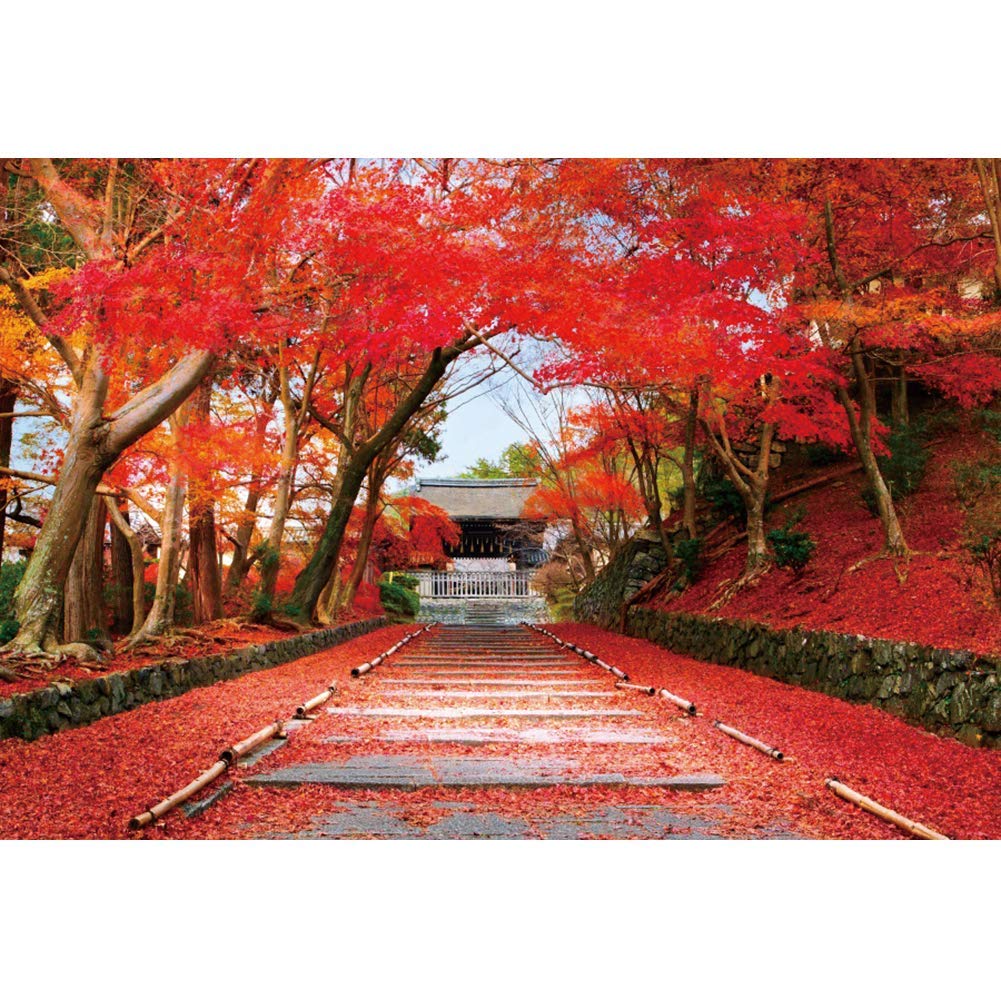 Amazon | Qinunipoto 背景布 写真撮影用 紅葉 和風 背景 撮影 写真背景 Amazon | Qinunipoto 背景布 写真撮影用 紅葉 和風 背景 撮影 写真背景