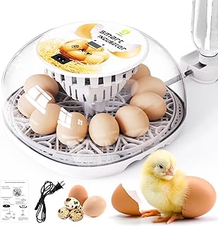 Incubators for Hatching Eggs Quail Egg Incubator 12 Eggs with Automatic Egg Turning and Humidity Control 360° Viewing for Chicken, Ducks, Goose, Pigeon for Lab Farm and Home