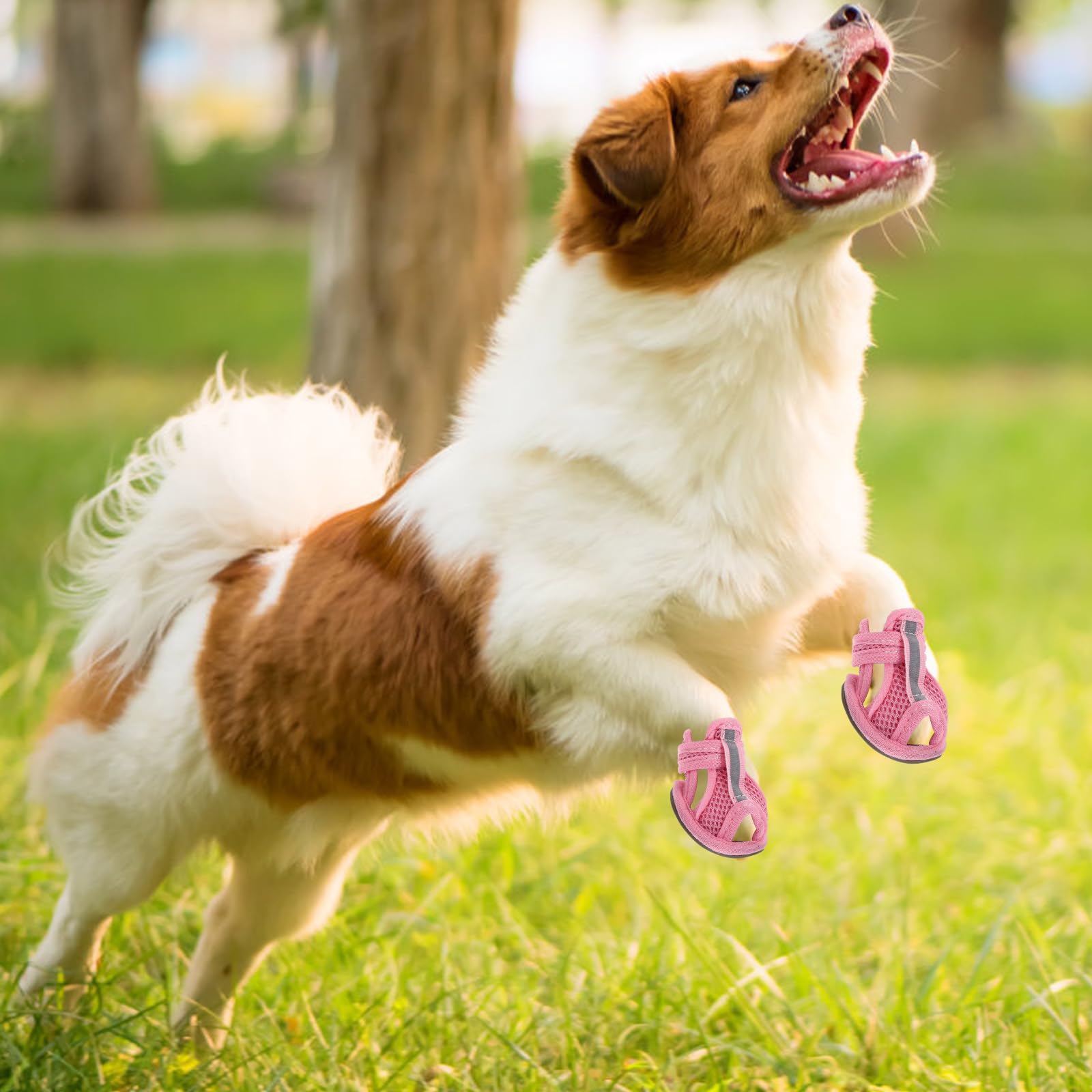 iplusmile Lot de 4 chaussures pour chien - Fournitures pour animaux de compagnie - Sandales pour animaux de compagnie