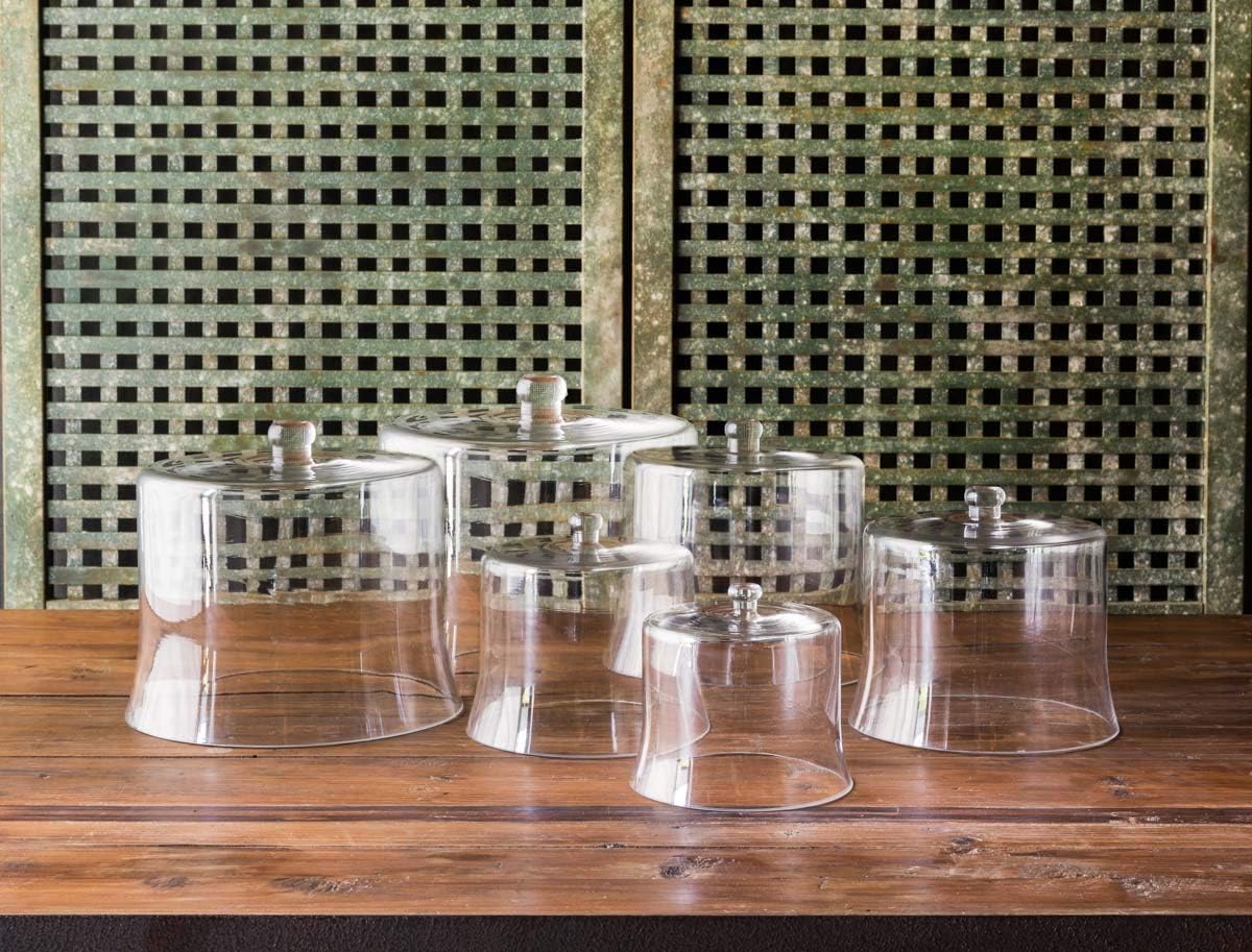 Park Hill Collection Estate Glass Cloche
