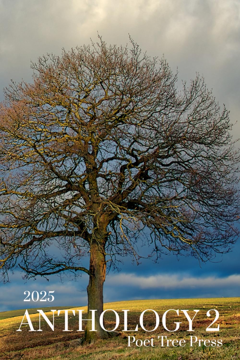 ANTHOLOGY 2: Poet Tree Press