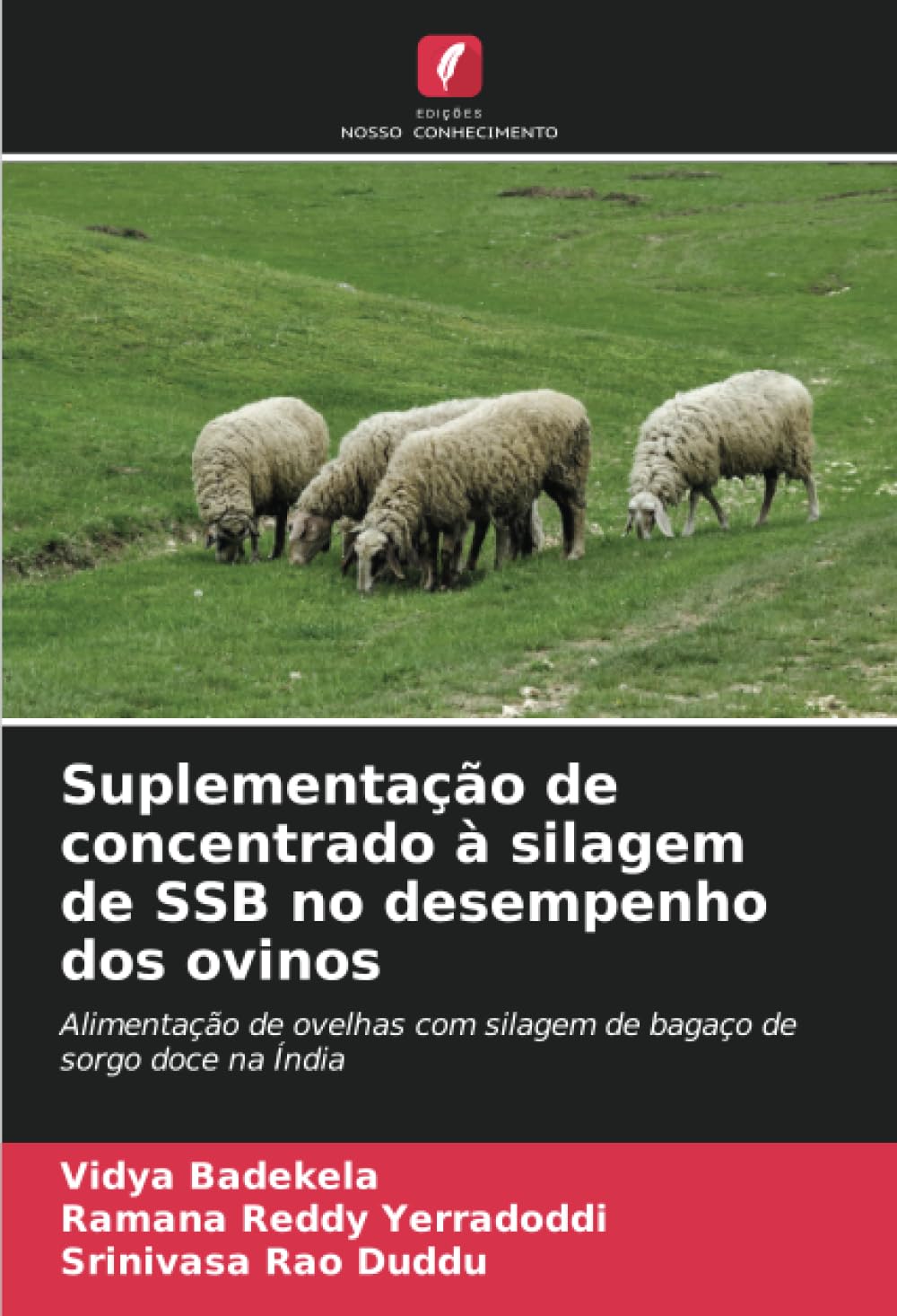 Suplementao de concentrado silagem de SSB no desempenho dos ovinos