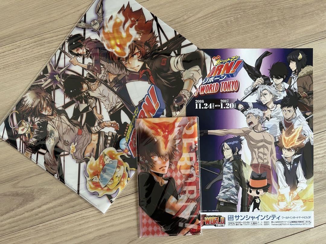 家庭教師ヒットマン REBORN！ JF ファイル ツナ プリーモ 骸