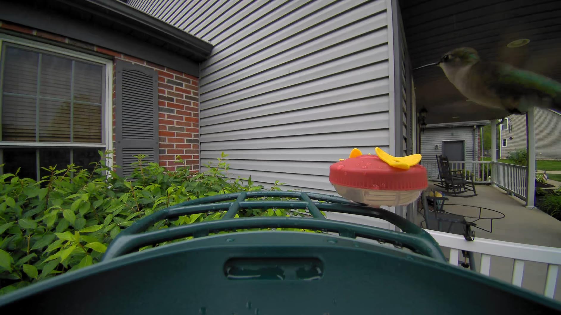 Smart Bird Feeder with 4K AI Camera Solar Powered, 8MP Photos photo review
