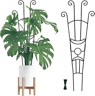Plant Support Trellis for Climbing Plants