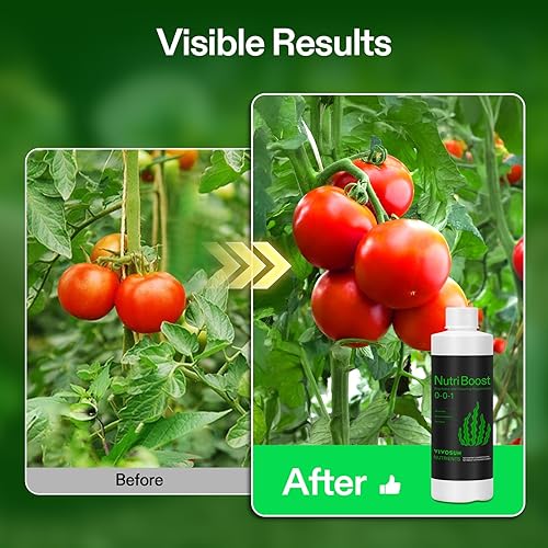 Miniatura 4 de VIVOSUN NutriBoost (0-0-1) y Bloom Juice (0-6-4), suplemento de floración fertilizante líquido para etapa de floración, alimento concentrado para