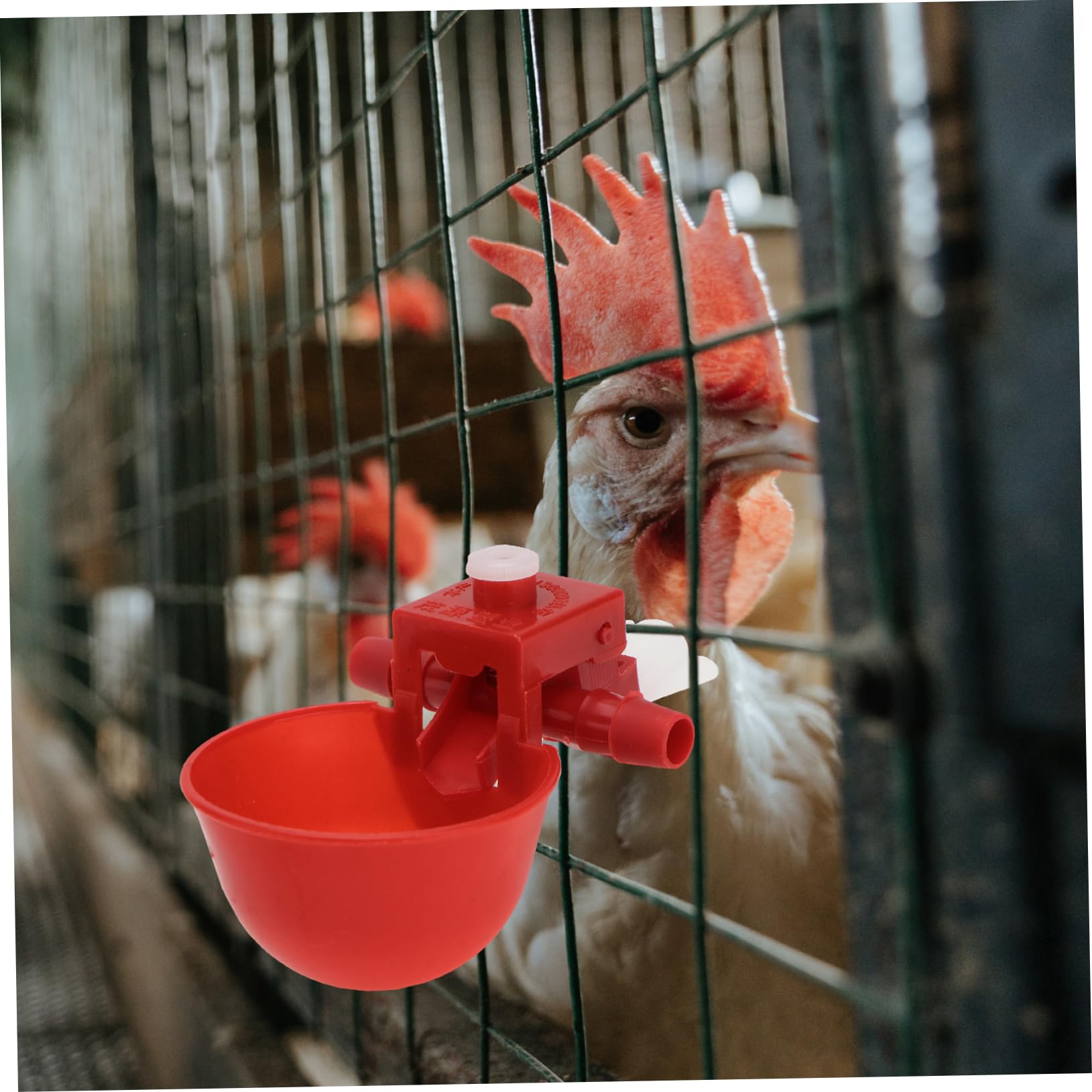 Bebedero Automático para Pollos y Palomas Rojo de Abs Ajuste de Agua Fácil y Seguro para Granjas Avícolas y Uso Doméstico Color Aleatorio