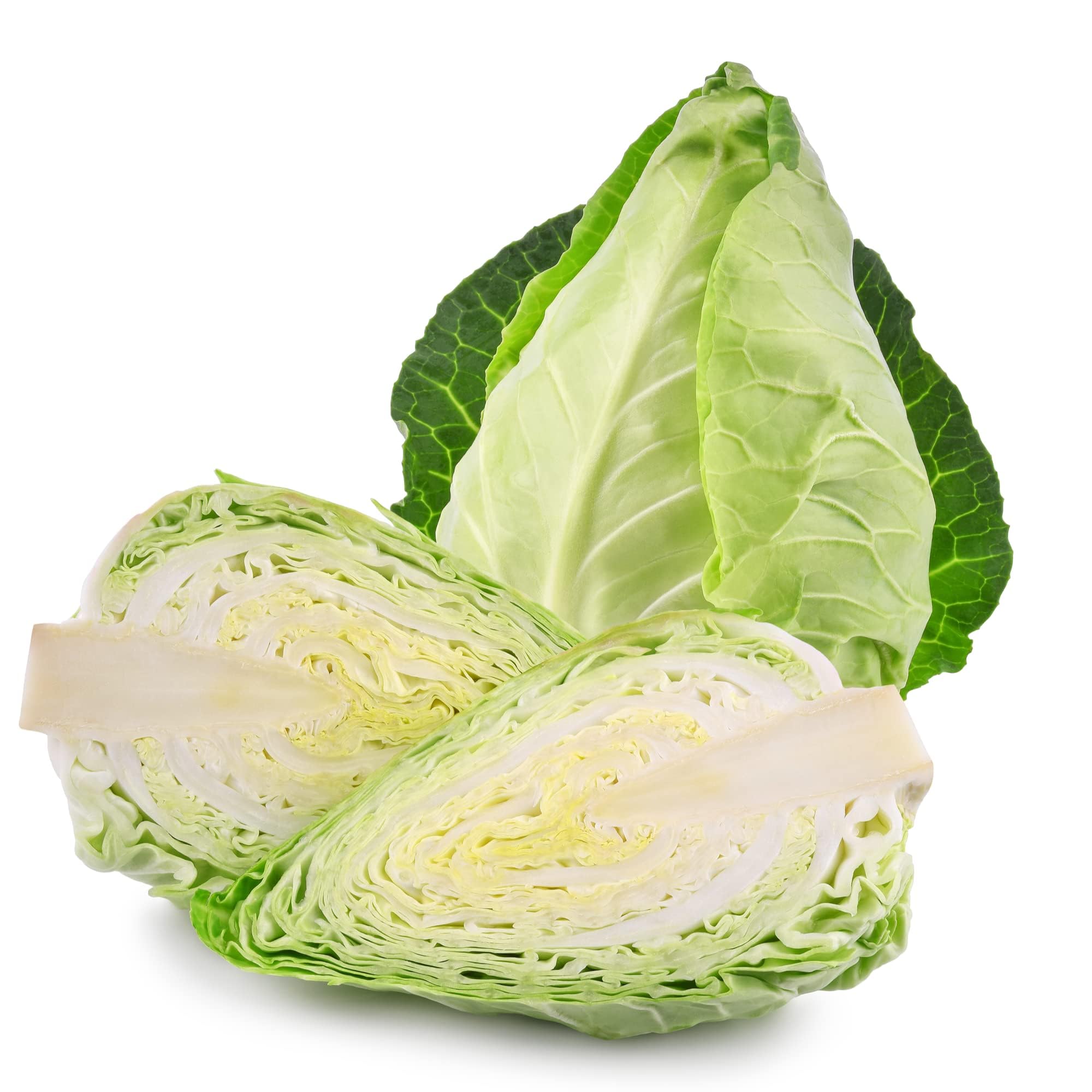 Cabbage Plants, 'Hispi Sweetheart', 4 x Plug Plant Pack, Vegetable Plants, Sweetheart Cabbages, Garden Ready and Ready to Plant, Premium Quality Vegetables
