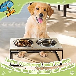 7 Best Stainless Steel Bowls for Small Dogs Durable, Safe 7 71ylNZSeGWL. AC SL289