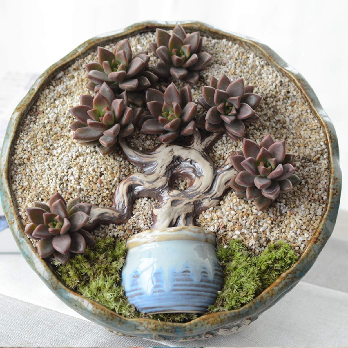 SHEHRI KISAAN ® Coarse Silica Sand -Horticultural Grade for Cactus, Succulents, Adeniums and Bonsai, Terrariums and Dish Gardens Soil Mix and Decoration, Aquarium Substrate Media (4 kg, 2-6 mm)