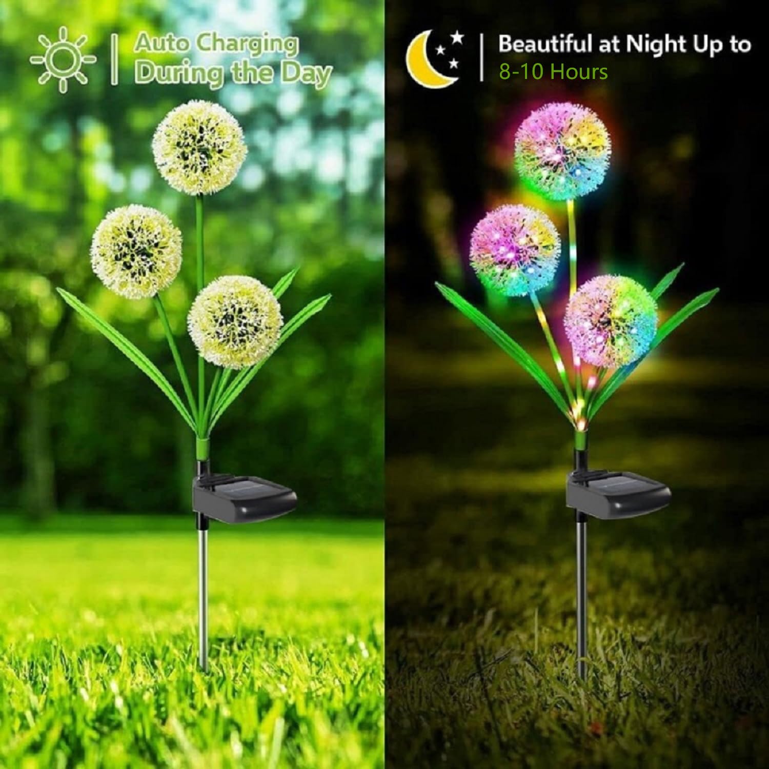 SHAREMI Solar Garden Lights Outdoor, 3 Pack Waterproof Dandelion Flowers Lamps with Colourful LED Lights - Image 3