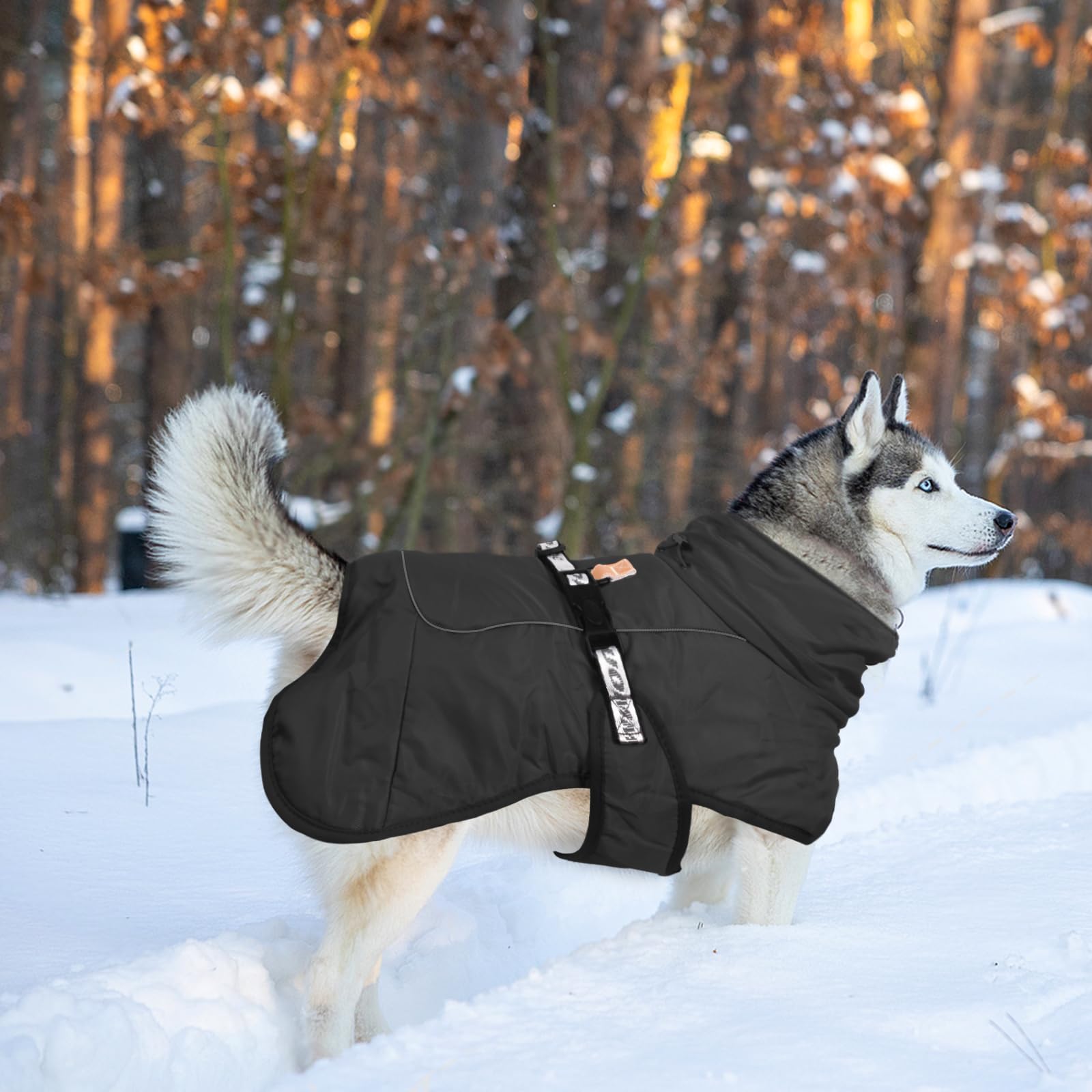 FEimaX Manteau d'hiver pour Chien Veste Chaud Coupe-Vent Réfléchissant 6XL Noir