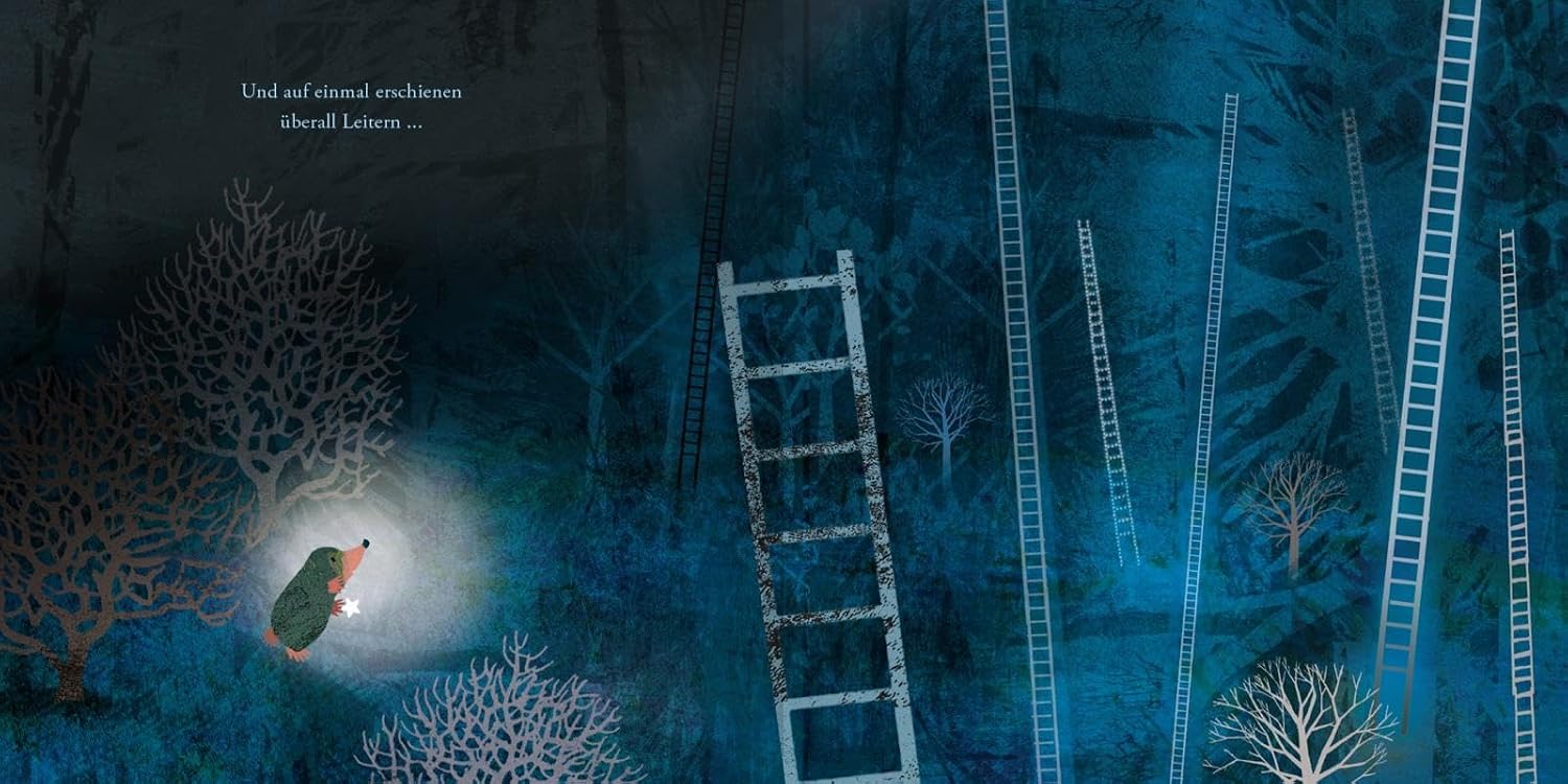 Der Maulwurf und die Sterne – Bilderbuch von Britta Teckentrup, arsEdition