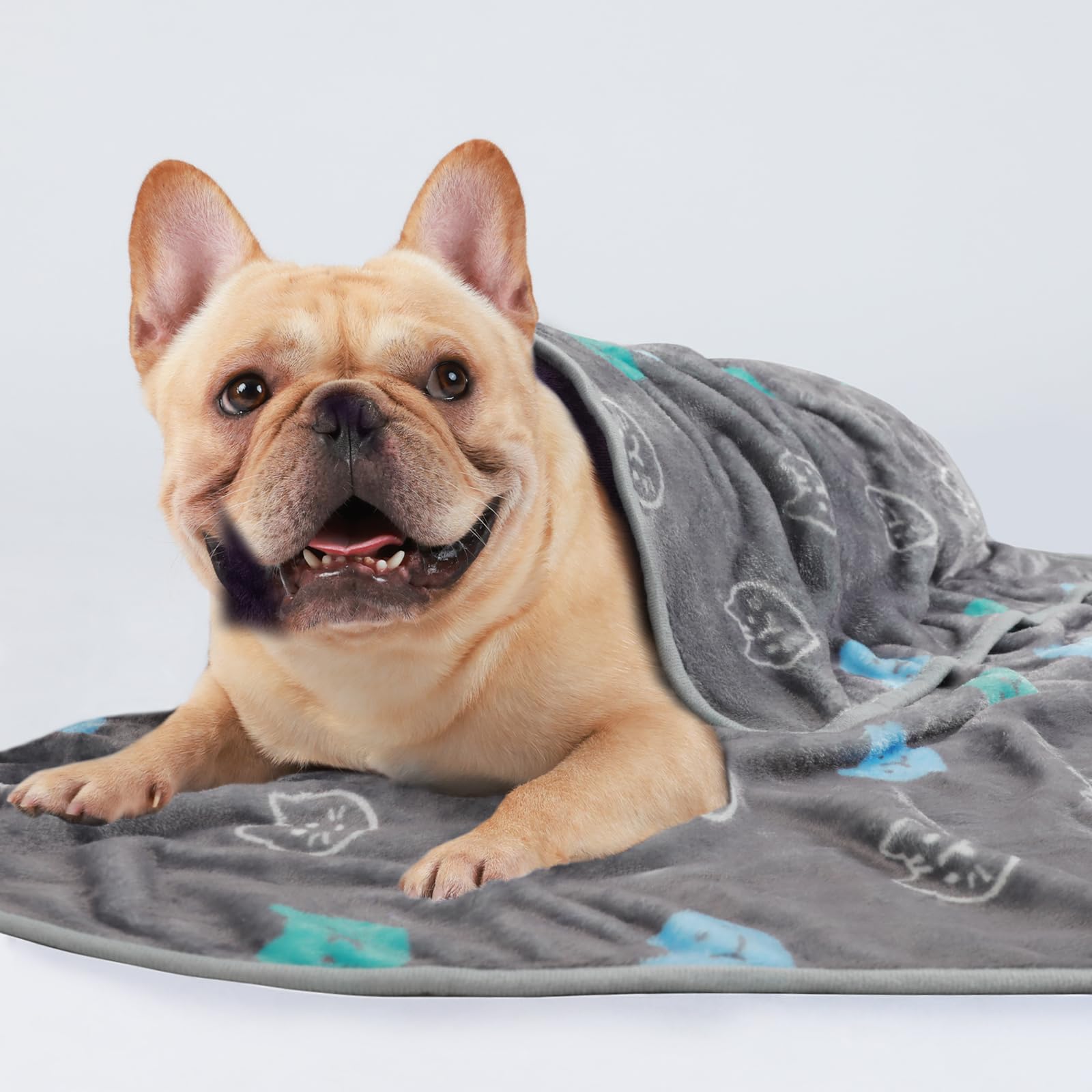 luciphia 3 Pezzi Coperta per Cane/Gatto Lavabile Soffice Durevole, Morbida e Calda Flanella,Testa di gatto,Small (60 * 40cm)