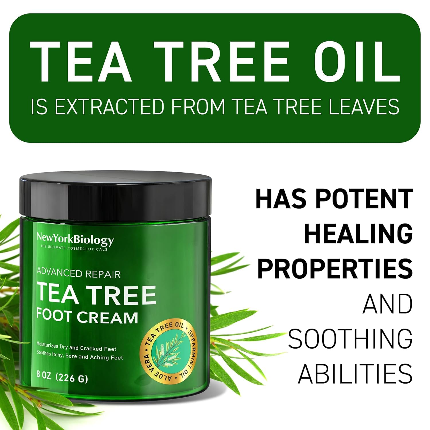 New York Biology Tea Tree Oil Foot Cream for Dry Cracked Feet, Cracked Heels and Itchy Skin - Foot Cream - 8 oz - Pack of 2