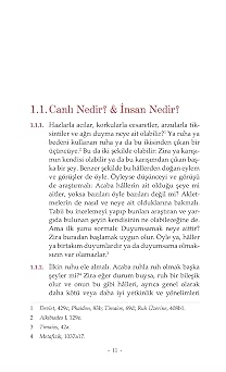 Dokuzluklar