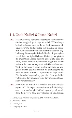 Dokuzluklar