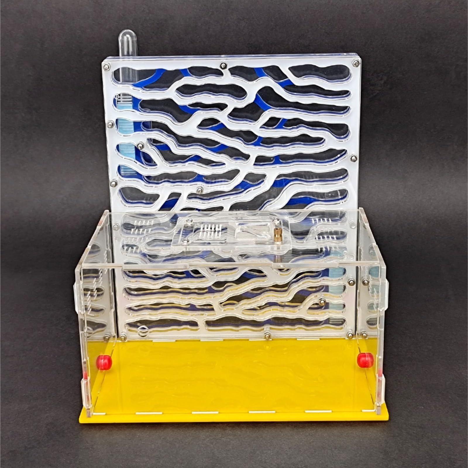 Transparenter Ameisennest-Lebensraum aus Acryl, großes Ameisenkolonie-Formicarium zur Beobachtung der Ameisenhaltung(Yellow)