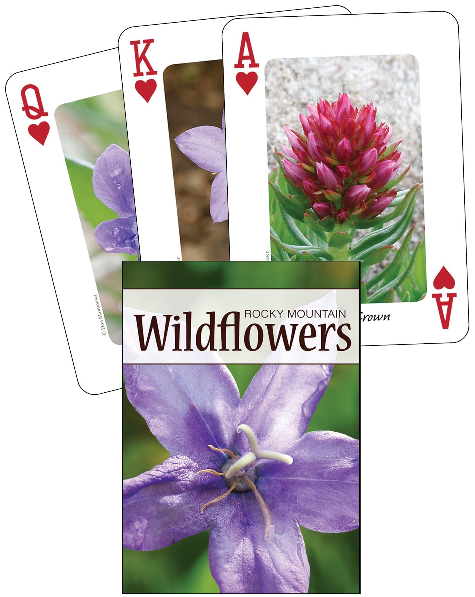 Wildflowers of the Rocky Mountains Playing Cards (Nature's Wild Cards)