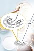 Busstier Spring Egg Beater Metal Mixer Cream and Sauce Mixer Practical Kitchen Apparatus
