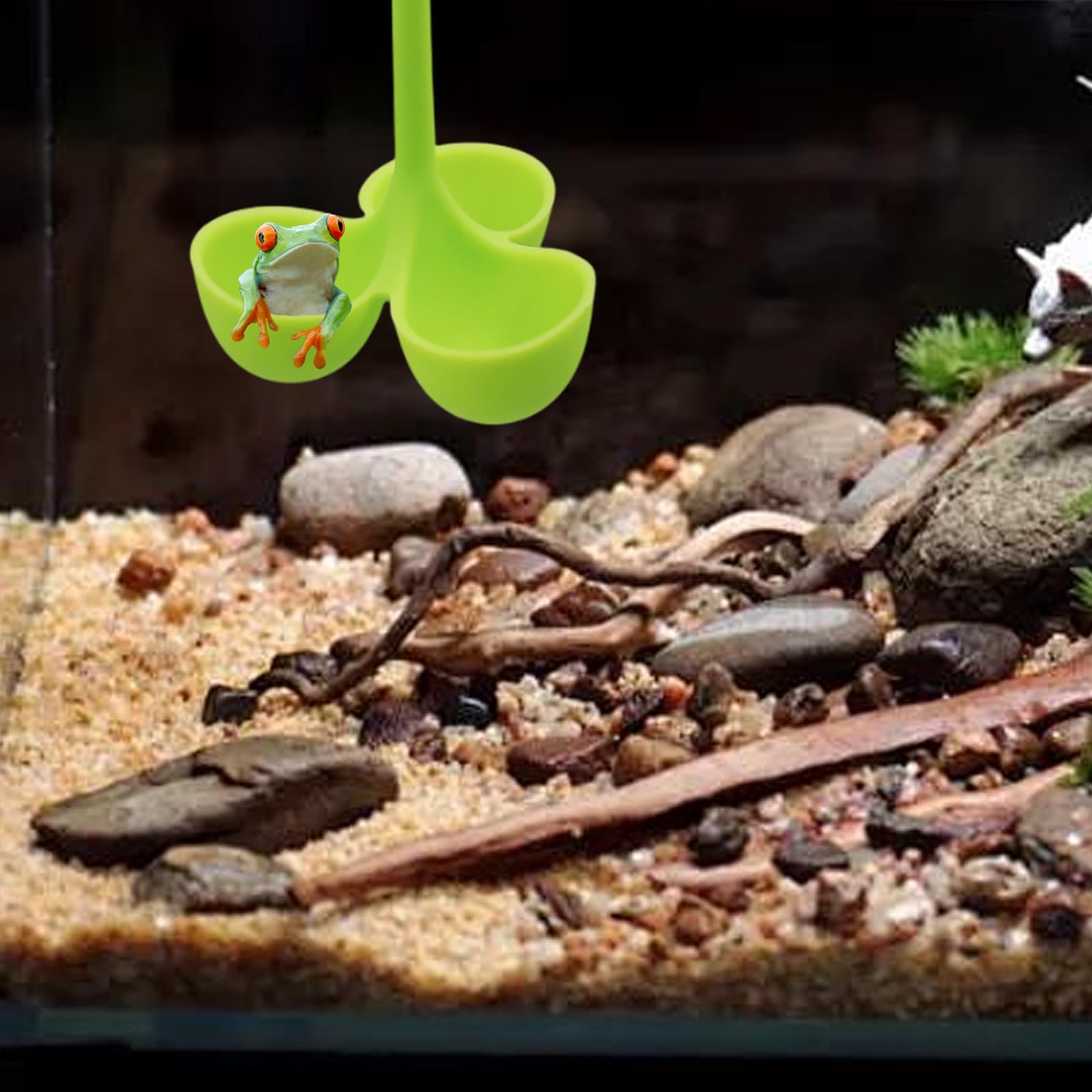 Hamak siedliskowy z 3 kapsułkami, miękkie silikonowe miejsca do odpoczynku z przyssawką i mocowaniami łańcucha, akcesoria do terrarium dla żab drzewnych, żab karłowatych, małych płazów