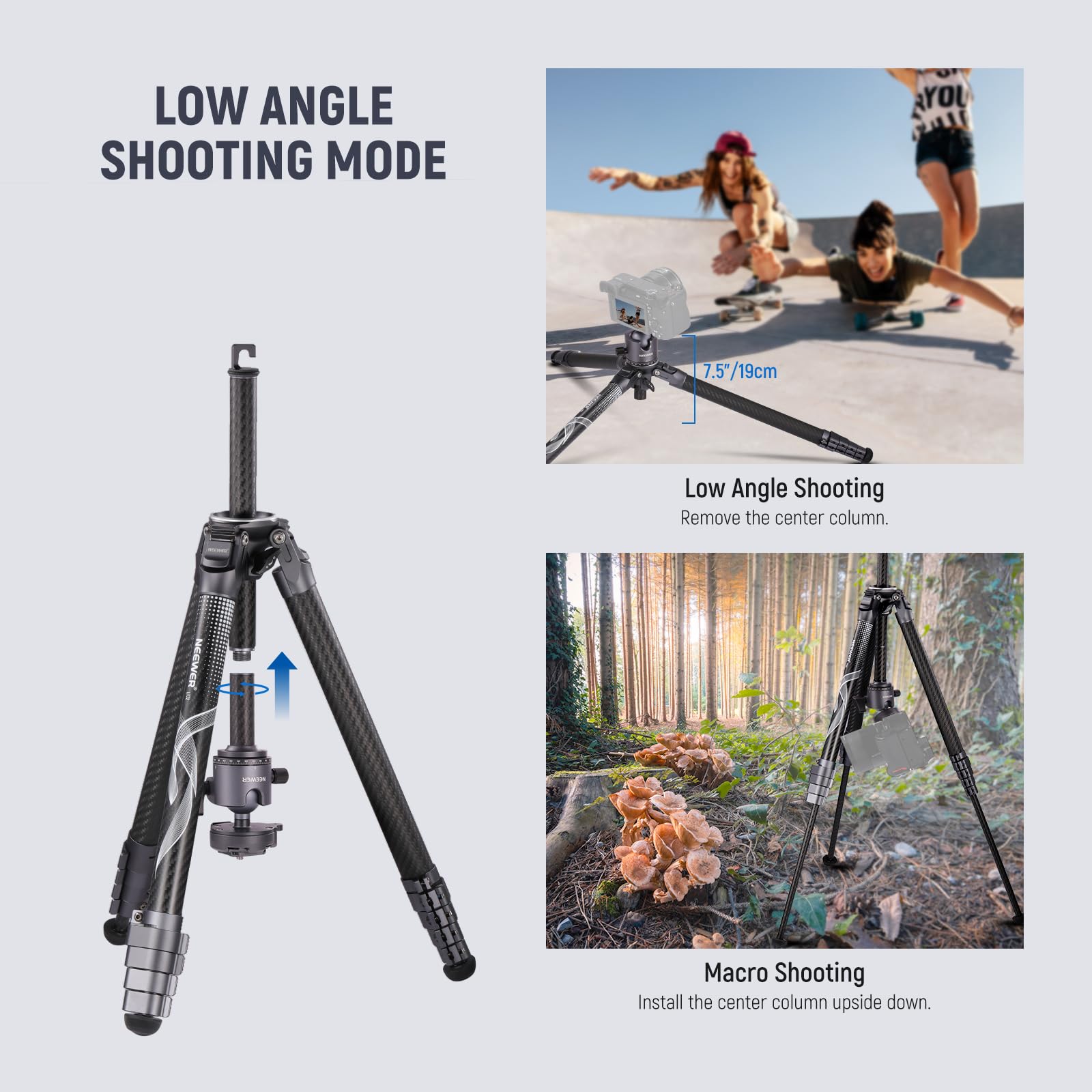 NEEWER LITETRIP 62" Trípode Viaje Cámara, Soporte Portátil Fibra Carbono con Nivelación ±15° Extraíble 360° Rótula Pan, Carga Máx 22lb/10kg, Placa Arca QR Compatible con Peak Design Capture V3, LT34