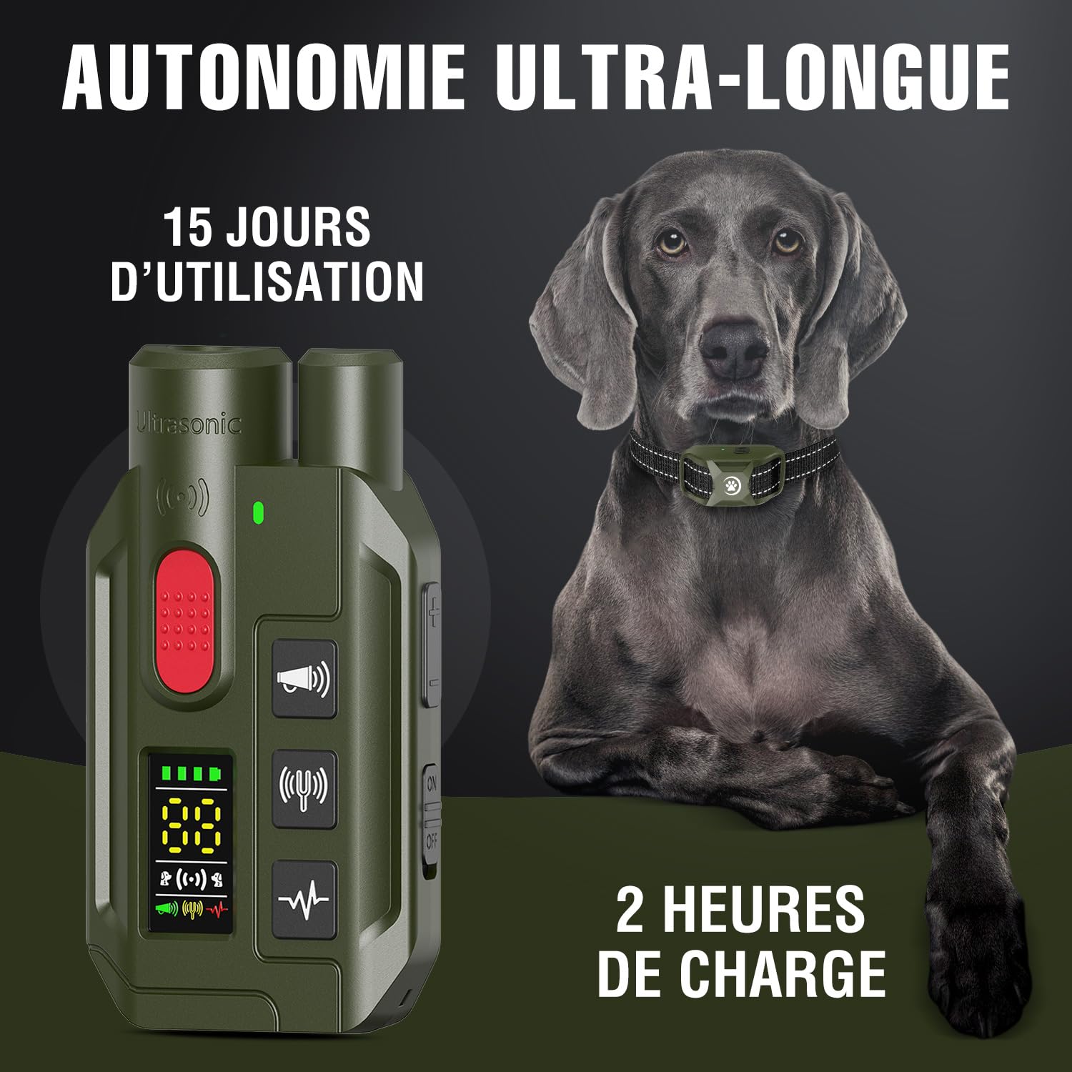 Collier de Dressage pour Chien 2 en 1 – Mode Ultrason Anti-Aboiement (Portée 5 m) & Télécommande 1000 m, Bip, Vibration & Choc Sécurisé, Étanche IP67 & Rechargeable, Vert