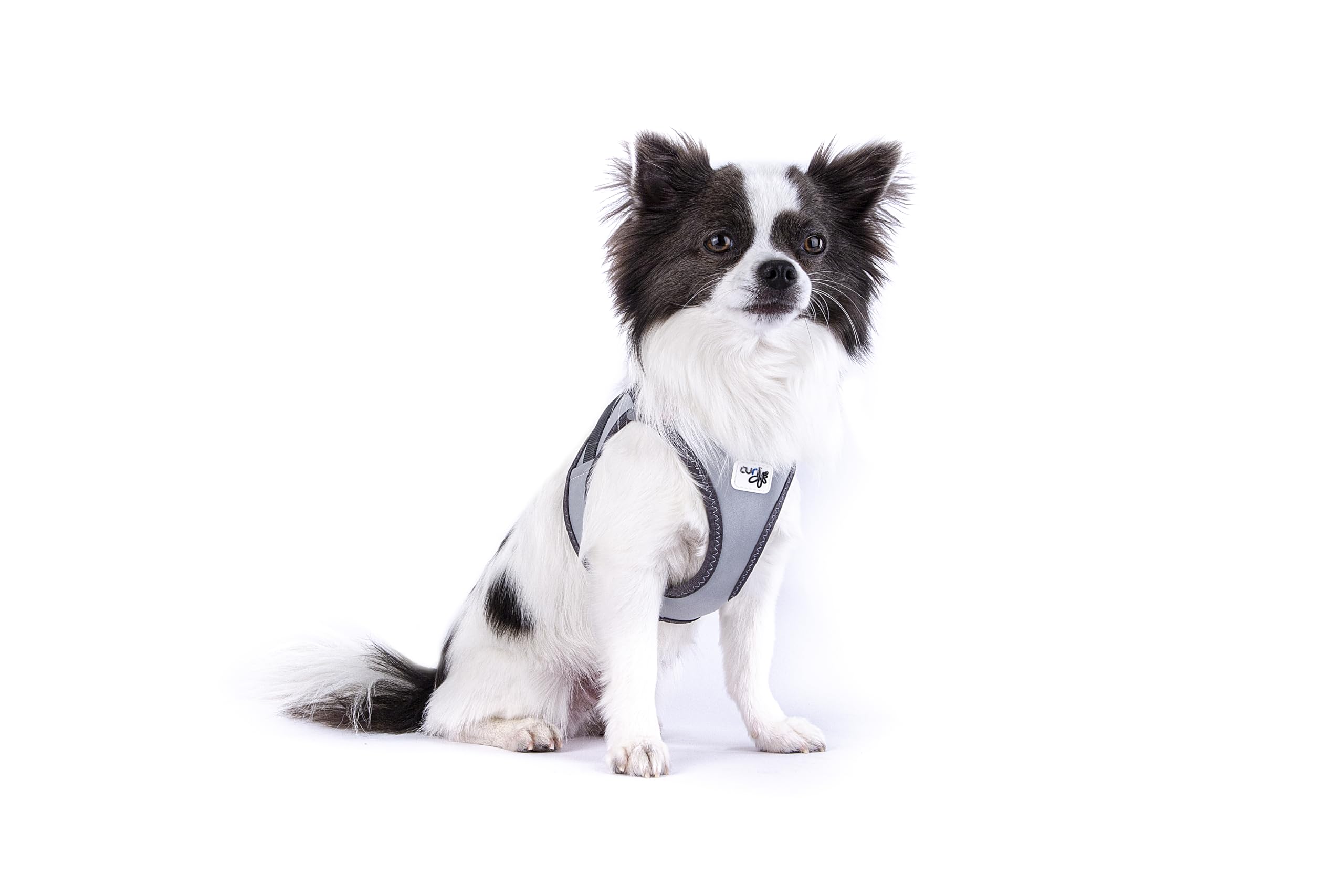 Glow curli Clasp Vest Harness Reflective Gray XS