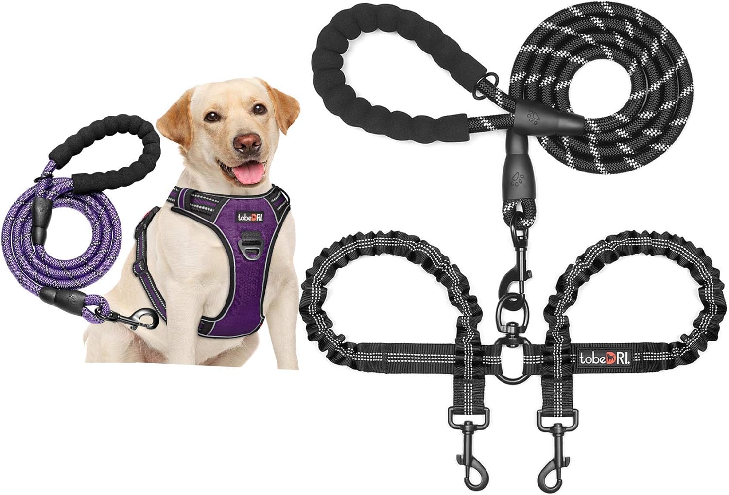 Dog Harness and Dog Leash Set + Dual Dog Leash