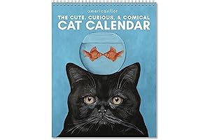 2024 Americanflat Cat Calendar: Wall Calendar with Monthly Format