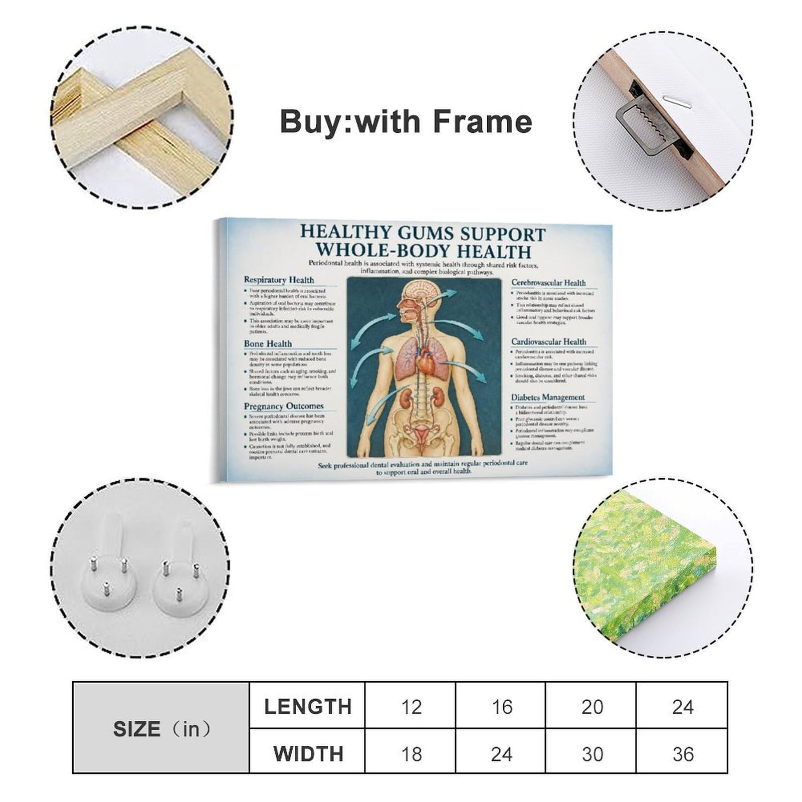 Poster educativo su tela con immagini di gengive sane e salute di tutto il corpo, anatomia dentale, per clinica dentale, ufficio medico, aula e studio, 30,5 x 45,7 cm