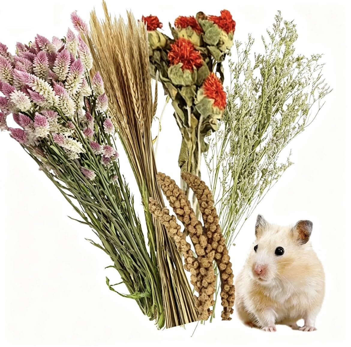 40-50 PCS Natural Hamster Bedding, Flowers & Herbs & Sprays for Cage Habitat Décor, Treat Cereal Grain for Dwarf Syrian Gerbils, Mice, Rat, Forage, Enrichment (C)