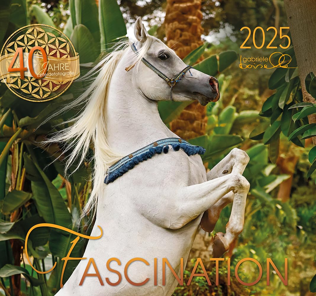 Fascination 2025: Arabische Pferde