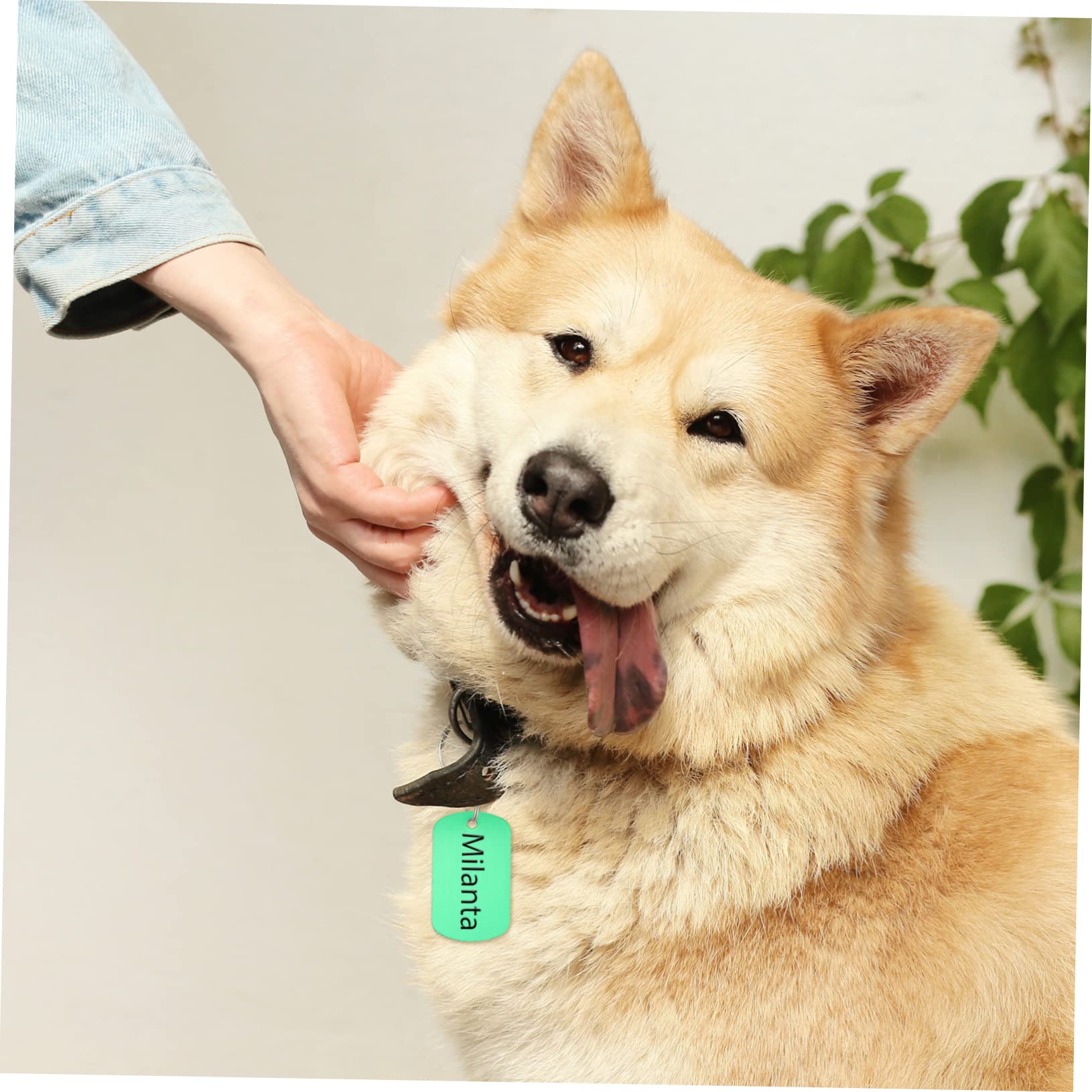 Angoily 96stücke Blanko Hundemarken Aus Legierung Personalisierbare Haustier-erkennungsmarken Für -projekte Für Hunde Katzen Und Andere Kleine Haustiere