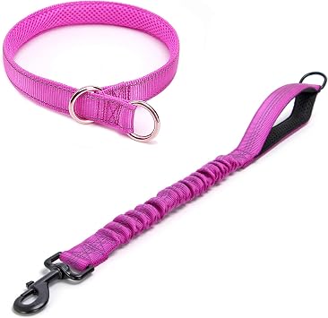 Reflective Slip Dog Collar+Bungee Dog Leash Extender for Dogs Training Walking Suitable for Dogs Weight 44-75 lbs-Purple
