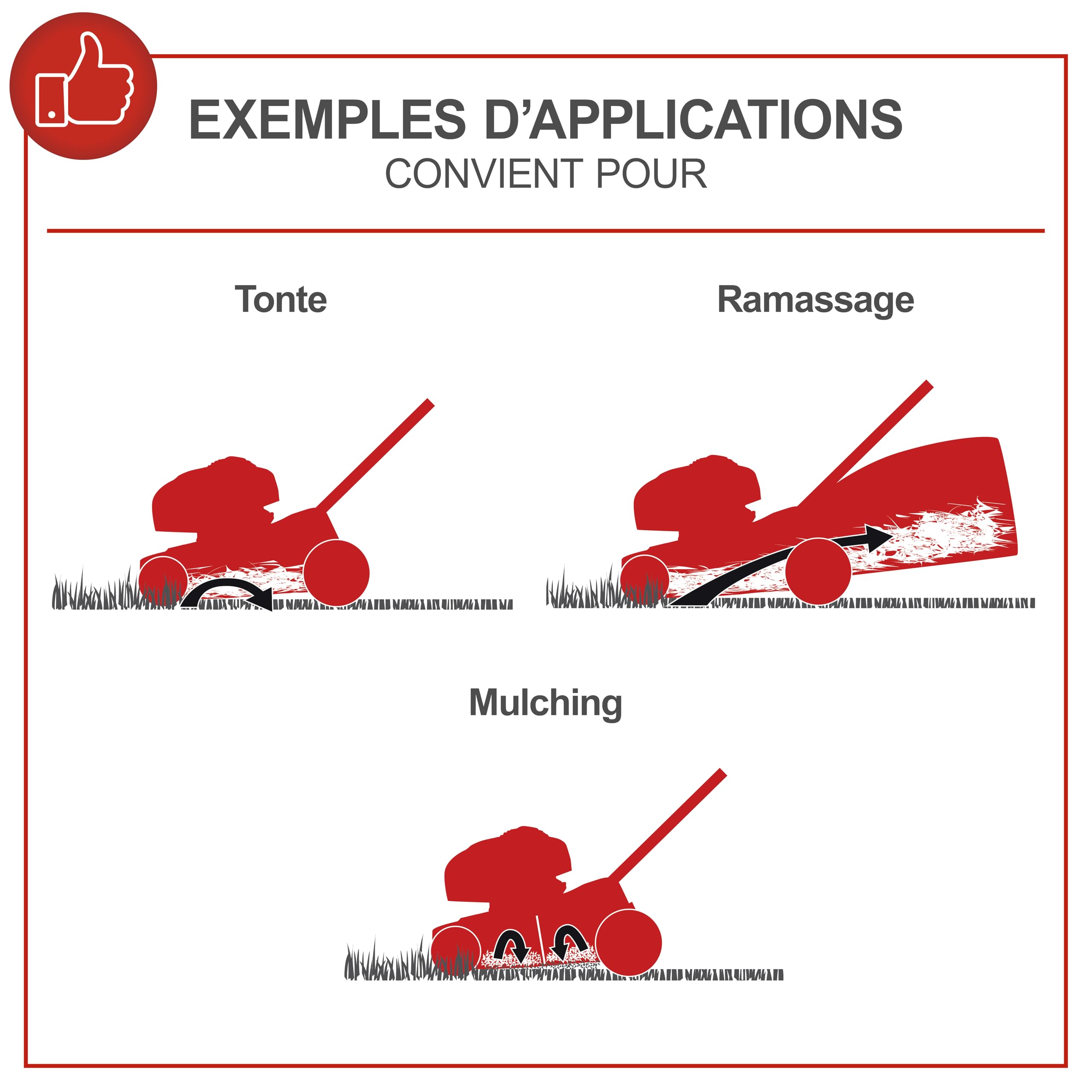 Scheppach Tondeuse à Gazon Thermique MS225-56 - Moteur 4 Temps 6 CV - 224 cm3 - Largeur de Coupe 56 cm - 2200 m² - bac 65L - Hauteur de Coupe 25-75 mm