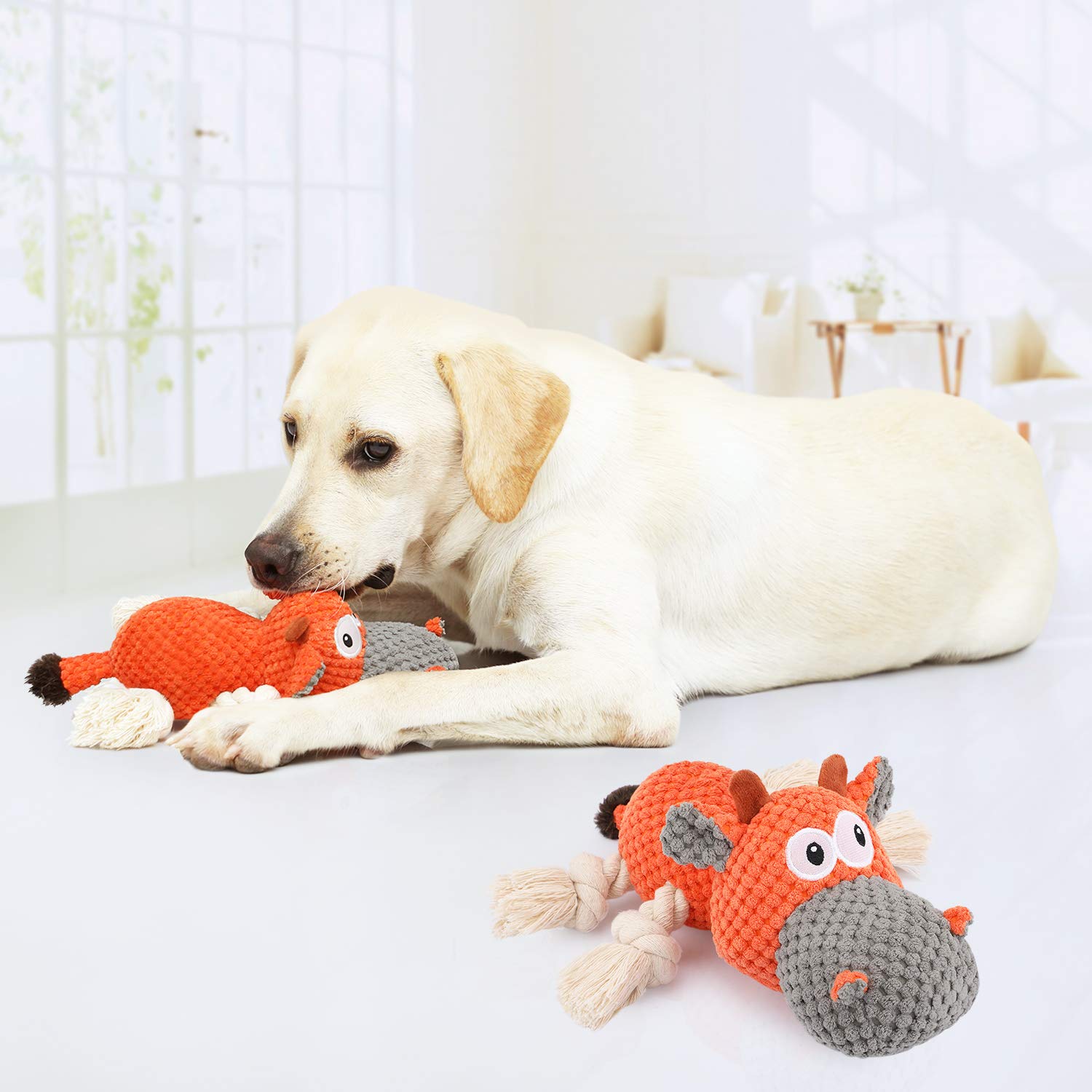 Iokheira Jouets pour Chiens, Jouets Interactifs pour Chiens, Jouets Couineurs Robustes pour Chiens avec Chiffon en Coton et Papier Froissé (Orangée, Bovins)