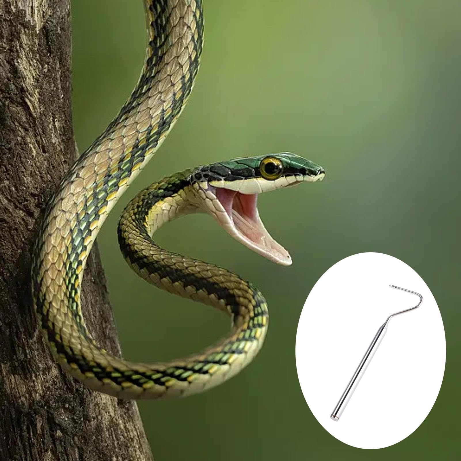 Schlangenfänger – Teleskop-Fangwerkzeug für Reptilien, professionelles Schlangen-Greifwerkzeug, Handschlangenhaken mit einzigartigem Design, 16–68 cm langes Reptilienhandhabungswerkzeug für