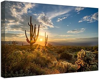 AZ Scottsdale Majestic McDowell Mountains Canvas Wall Art for Office Living Room Bedroom Bathroom - Sunrise Cactus Picture Poster Framed Artwork Ready to Hang(12''H x 16''W)