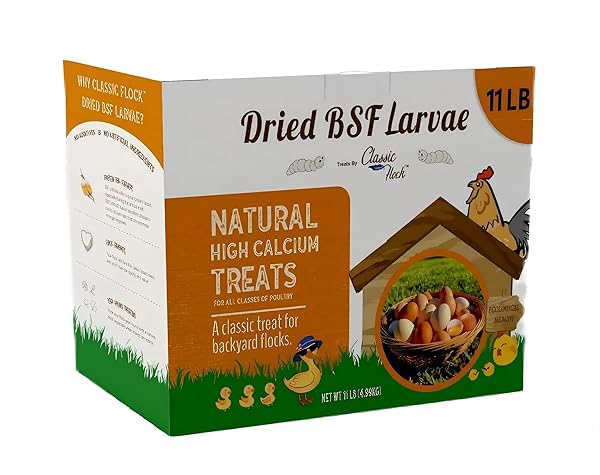 Classic Flock 11 lb Black Soldier Fly Larva - BSFL is a high Calc-Rich Chicken Feed with More Calcium Than mealworms.It is a Pure Natural Food That Provides high Protein for Chickens and Birds