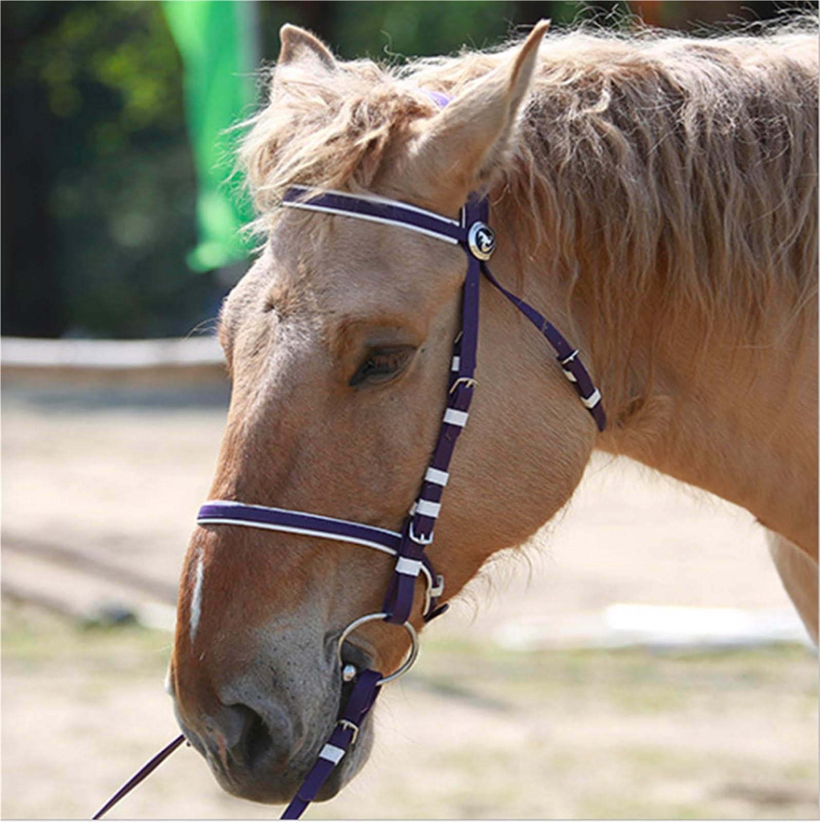 Riendas Suministros de arnés Brida de un Solo Anillo Brida de Caballo Riendas de Agua de Carreras de Velocidad Impermeables