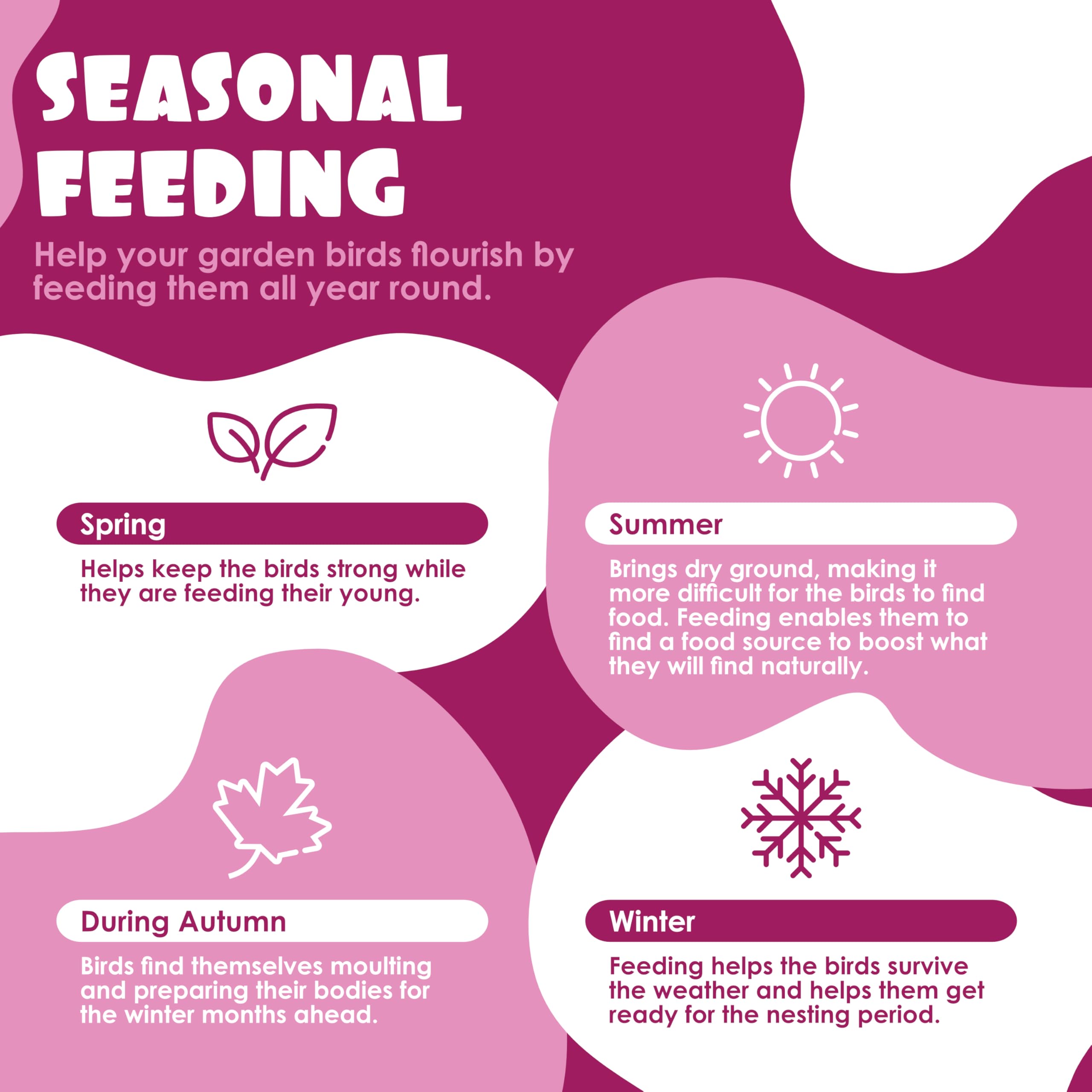 Peanut & Berry Flavoured Suet Pellets, 3kg Resealable Tub - Wild Bird Food Enriched with Human Grade Beef Tallow, High in Energy & Protein - All-Season Bird Feed - Manufactured In The UK — view 7