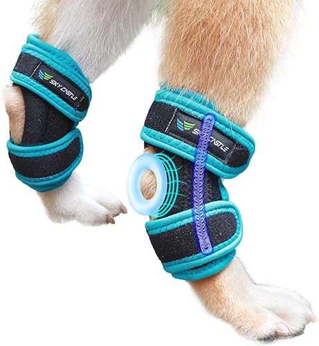 Rodillera para perro para pierna trasera desgarrada, soportes de pierna de perro para pierna trasera, soporte de cadera ajustable para perros,