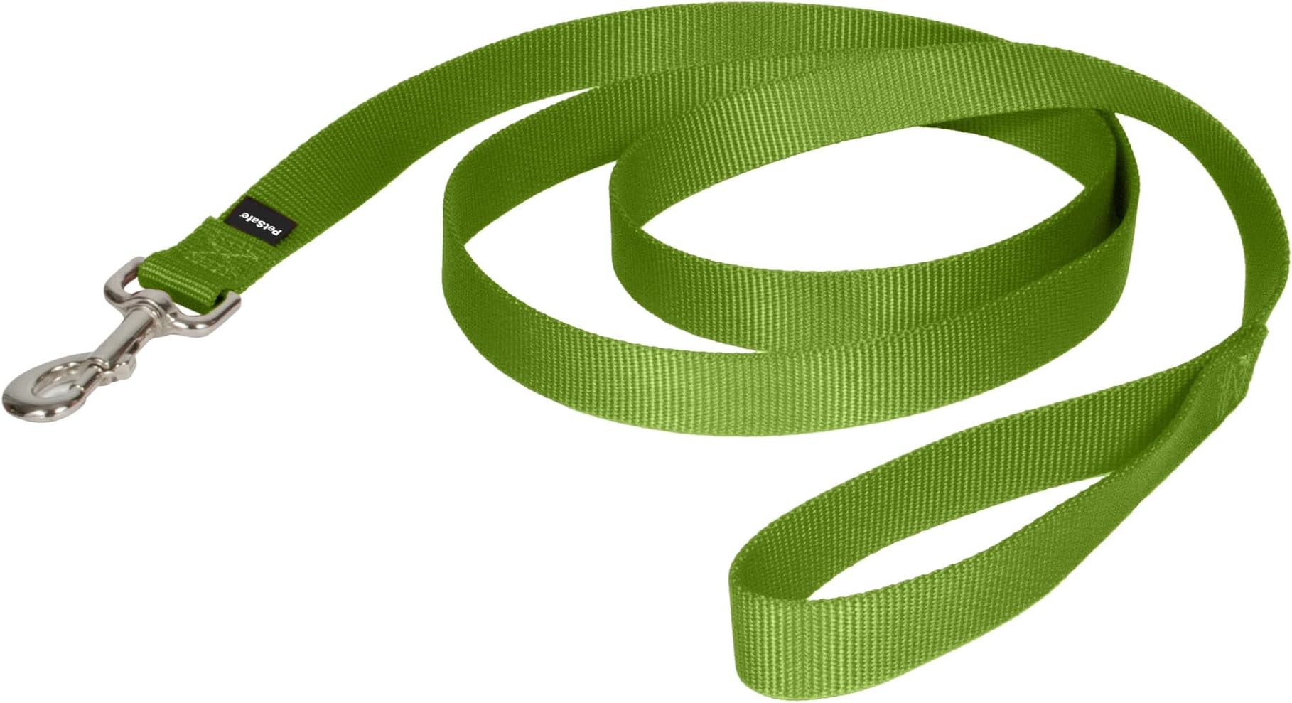 Nylon Leash - Helps Maintain Secure Connection on Walks - Durable Pet Leash with Easy Clip - 1 in. x 6 ft. - Apple Green