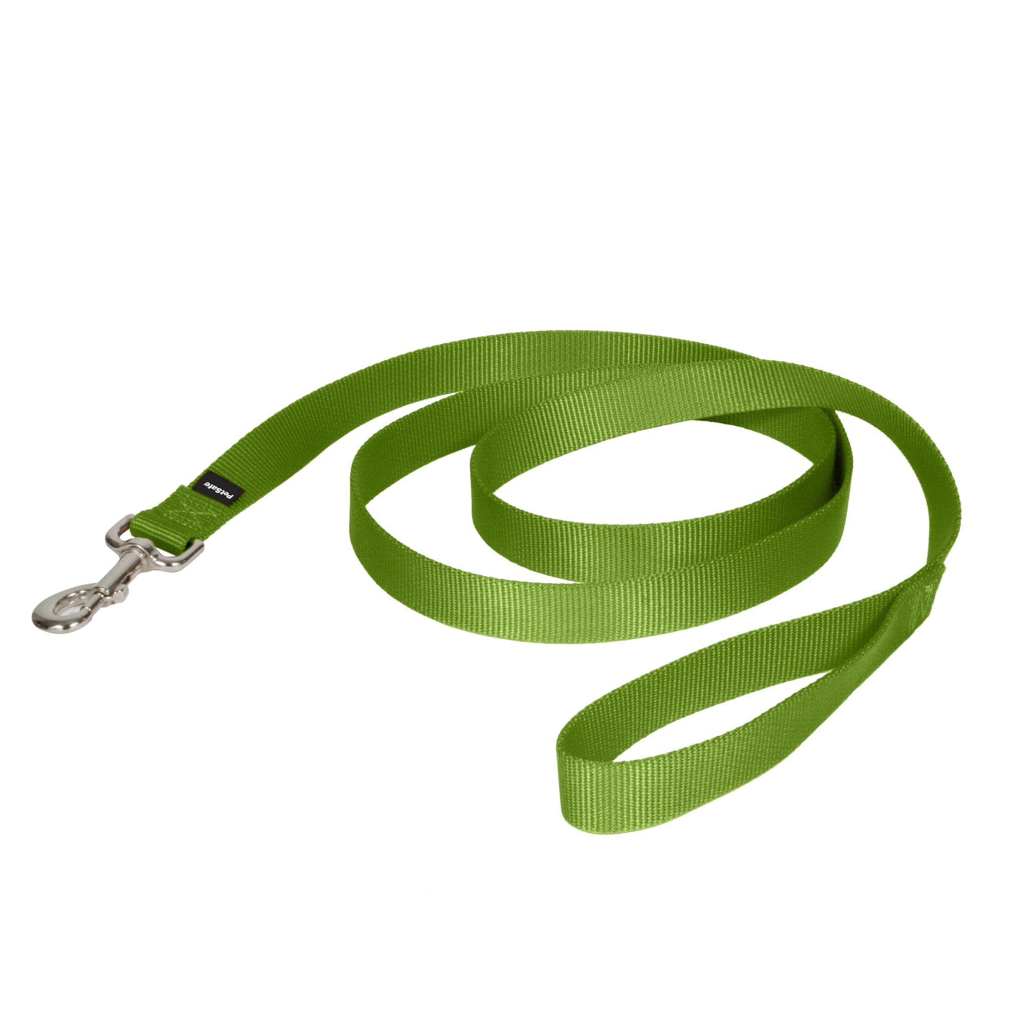PetSafe Nylon Dog Leash - Strong, Durable, Traditional Style Leash with Easy to Use Bolt Snap - 1 in. x 6 ft., Apple Green