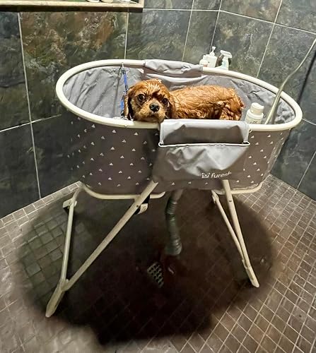 Review Image by Amazon Customer