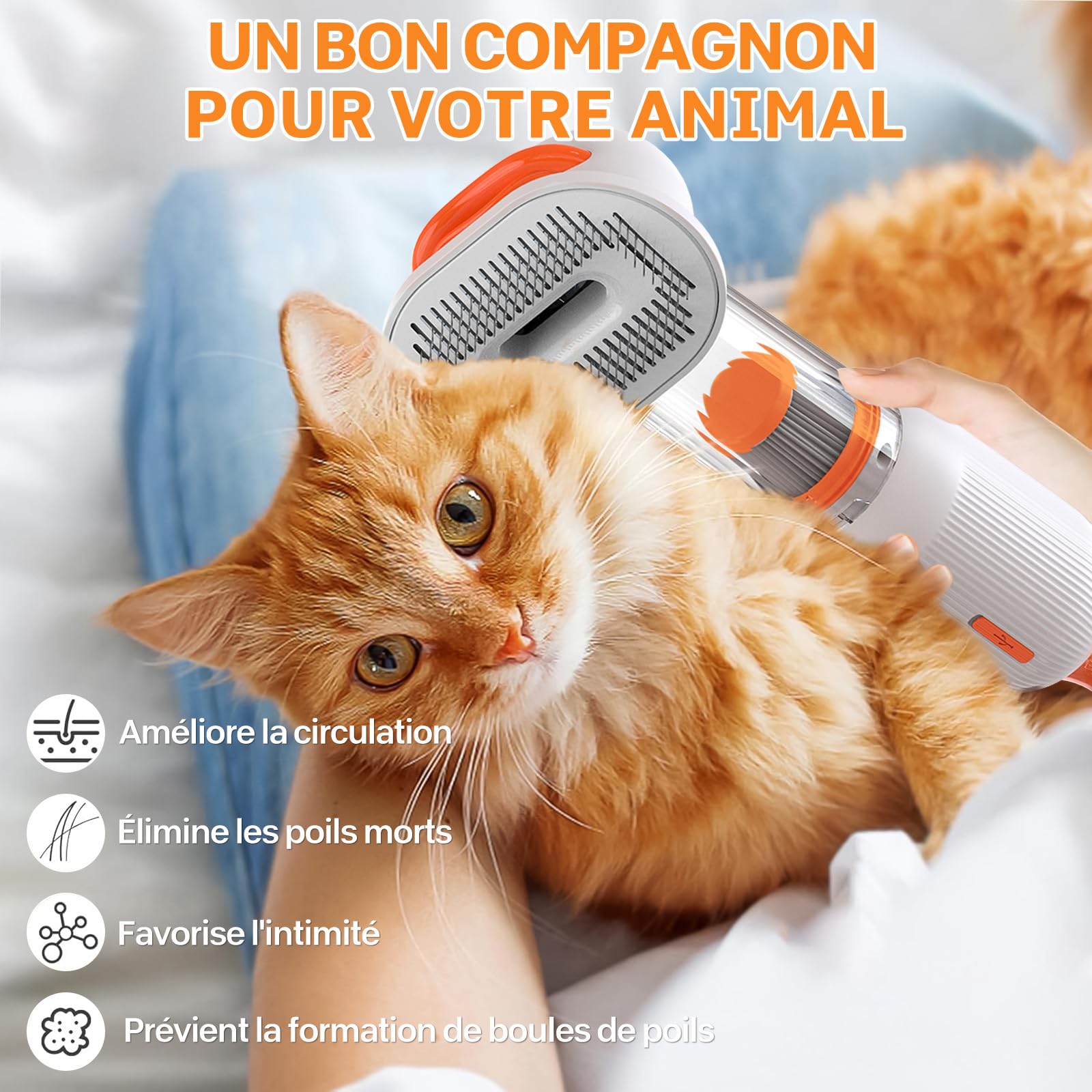 Kit aspirateur de toilettage pour chat avec brosse, tondeuse silencieuse et soin du pelage pour chats domestiques, aspirateur 4 en 1 pour chatons à poils longs ou courts