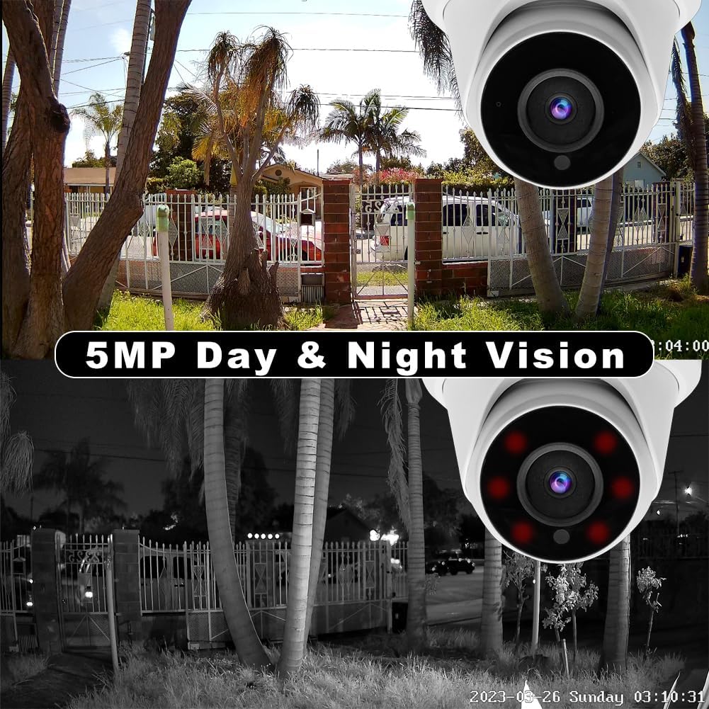 5MP Day and Night Vision Comparison