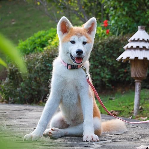 Miniatura 5 de Juego de collar y correa reflectante para perro con bolsas y dispensador de excrementos, collares de nailon ajustables para perros pequeños,