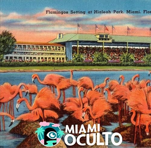 La historia detr&aacute;s de Hialeah